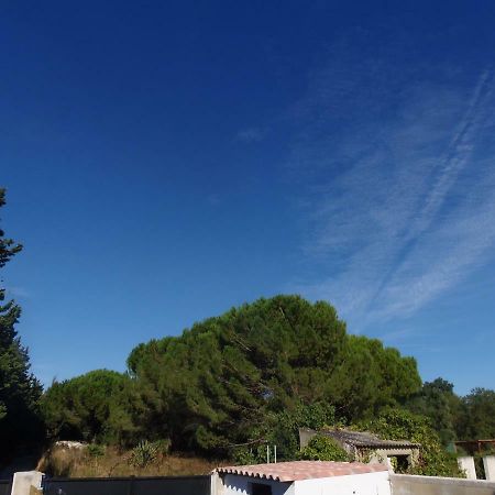 Ferienwohnung Joli Mazet Entre Montpellier Et Nimes Aimargues Exterior foto